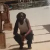 raseddieholder1 - @raseddieholder1 - TikTok