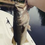 fishing pro 42 - @eddiehook4 - Instagram