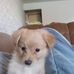 Eddie Hooper - Facebook