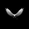 EddieHooper - @eddiehooper1 - TikTok