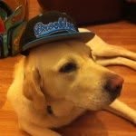 @eddiehull - Instagram