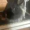 eddiehutton5 - @eddie.hutton - TikTok