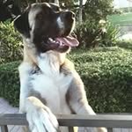Eddie Ima - @imaeddie - Instagram