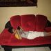 Eddie Ishak - Facebook