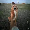 islas_eddie - @islas._eddie - TikTok