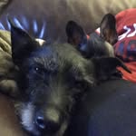 Jacques & Eddie - @jacques.and.eddie - Instagram