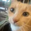 eddie - @eddiejumps - TikTok