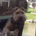Eddie Kaiser - @kaisereddie - Instagram