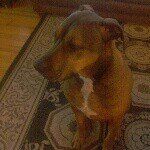 Eddie Kaiser - @eddiekaiser123456789 - Instagram