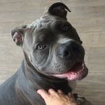 Kaiser Eddie - @kaiser_eddie - Instagram