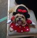 Eddie Kho - Facebook