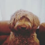 Eddie larson - @e_double_d_i_e - Instagram