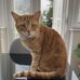 Ed Linton - Facebook