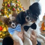 Eddie & Lui💙🩵 - @eddie_and_lui - Instagram