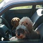 Eddie Lundgren - @f0307571836 - Instagram