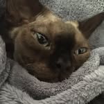Eddie Lundgren - @lundgreneddie - Instagram