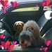 Eddie Lundgren - Facebook