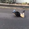 eddie - @eddiemahon - TikTok