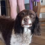 Eddie Mahon - @eddie_mahon123 - Instagram