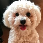 Eddie von Majewski - @eddie_v_m - Instagram