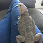 Eddiepoo - @eddie_major2017 - Instagram