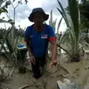 eddiemalek - @eddiemalek - TikTok