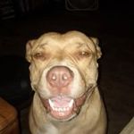 Eddie Manuel - @eleddieestupapi - Instagram