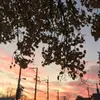 EddieMarcusS - @eddiemarcuss - TikTok