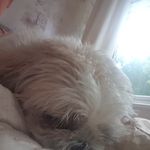 eddie mccabe - @angelajaneclark78 - Instagram