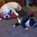 Eddy Mccabe - Facebook