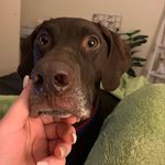 Eddie McLaughlin - @_steadyeddie__ - Instagram