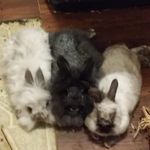Eddie Meeks - @eddie.meeks.31 - Instagram