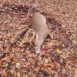 Eddie Meeks - @eddie.meeks.391 - Instagram