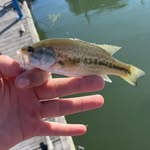 Eddie Meyer - @eddie83608 - Instagram