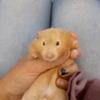 Eddie_mickr - @mik_eddie_ - TikTok