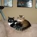 Eddie Mickey - Facebook