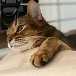 @eddie._.min - Instagram