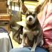 Eddy Mize - Facebook