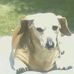 Edie Murrell - Facebook