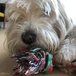 @eddiemusen - Instagram