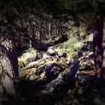 Eddie Ness - @_music.and.photography_ - Instagram