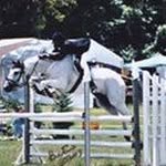 Eddie Newman - @eddienewman60 - Instagram