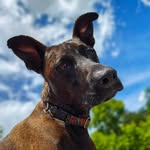 Eddie - @eddie_up_north - Instagram
