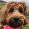 EddieOliver_ - @eddieoliver_ - TikTok