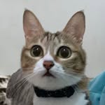 Eddie.orange - @eddie_orange_ - Instagram
