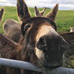 Eddie Orr - @orr.eddie - Instagram