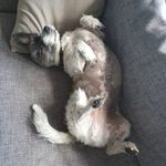 Eddie Otten - @eddieotten - Instagram