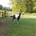 Eddie Ottis Orr - Facebook