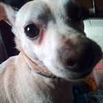 Eddie Otto - @eddie.otto6298 - Instagram
