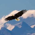 Eddie Otto - @eagle_wtigs4 - Instagram